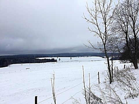 Foto 354